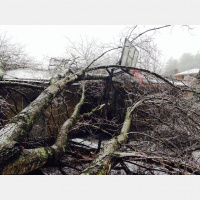 Close call for Gary Green and family in Walhalla during #IceStorm2015 #247Weather #7cam