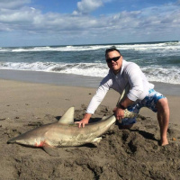 Shark Hunters know when YOU should avoid the water 