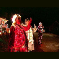 Christmas lights at the Watsons in Pelzer are back! 21st year!