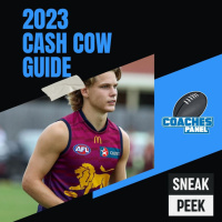 2023 Cash Cows | Sneak Peek