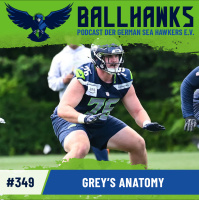 #349 – Greys Anatomy