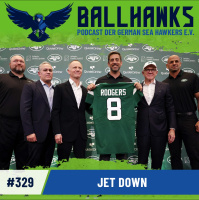 #329 – Jet down