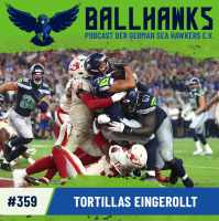 #359 – Tortillas eingerollt