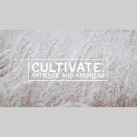 Cultivate: Kindness (Audio)