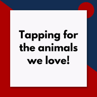 Tapping for Animals (Pod #667)