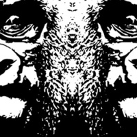 UFC 191: A Poorly Recorded Reflection