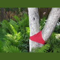 DDIY 30 - Its Hard to Put a Thong on a Tree