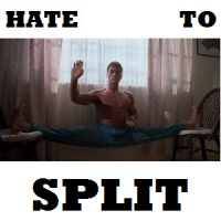 DDIY 12 - Locally Foraged Cats