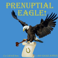 DDIY 35 - Prenuptial Eagle