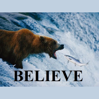 DDIY 28 (w/@Scott_Losse) - Bear School