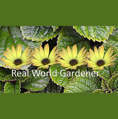 Real World Gardener Podcasts