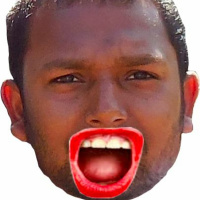 COW CORNER (Episode 1 - The SCREAM!) Match 2 Vs RACS CC