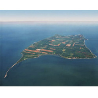 Pelee Island Winery Half Marathon and OFSAA Track and Field