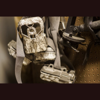 Episode #54 – Matt Kline – Exodus