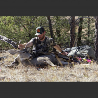 Tradgeeks Podcast- Episode #33- Our 2016 Season