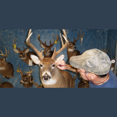 Tradgeeks Podcast - Traditional Archery Podcast And Bowhunting