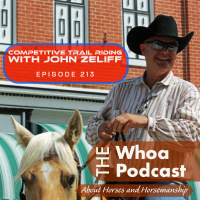 Discover the Thrill of Competitive Trail Riding with John Zeliff, President of NATRC
