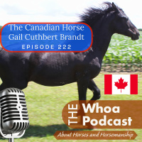Exploring the Canadian Horse: Talking with Gail Cuthbert Brandt