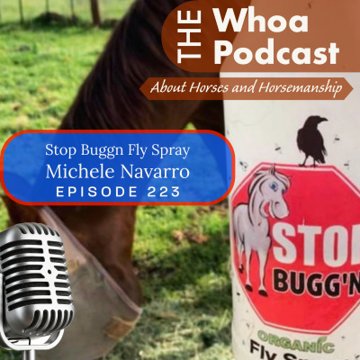 Whoa Podcast About Horses Horsemanship