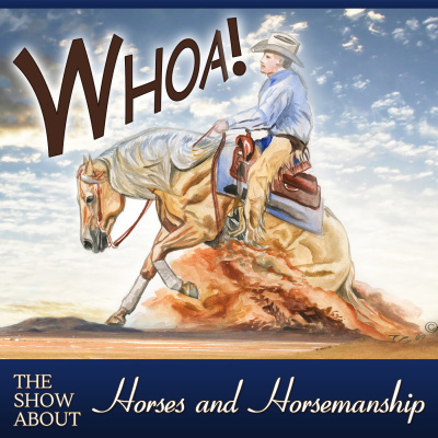 Whoa Podcast About Horses Horsemanship