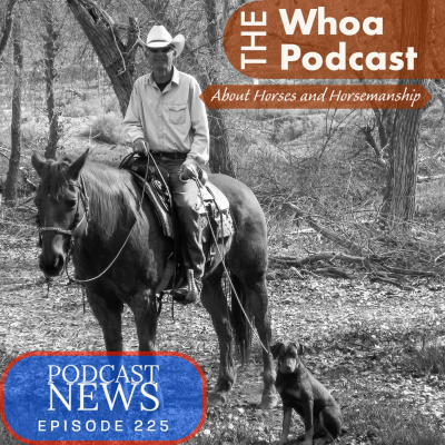 Whoa Podcast About Horses Horsemanship
