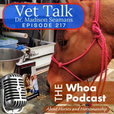 Whoa Podcast About Horses Horsemanship