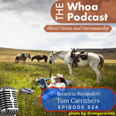 Whoa Podcast About Horses Horsemanship