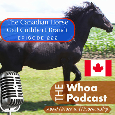 Whoa Podcast About Horses Horsemanship