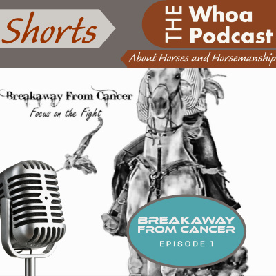 Whoa Podcast About Horses Horsemanship