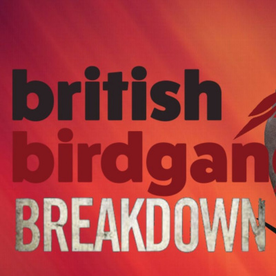 Britishbirdgang Breakdown