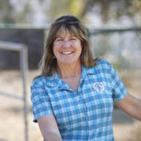 The SDMBA in San Diego is Advocating for Trails and Riders in Californias Second-Most Populated County