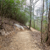 Mountain bike trail building and development are going platinum