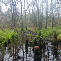 Real Talk About Bikepacking Florida