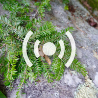 A Mountain Biker’s Guide to Nature