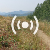 What’s Grinding Our Gears and Stoking Our Spokes in 2019