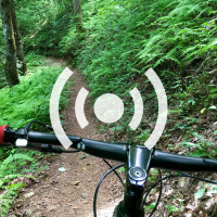 Summer Riding Tips: Poison Ivy, Brutal Heat, and Ticks, Oh My!