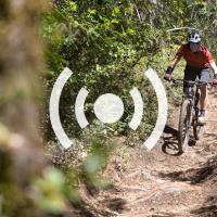 Spring 2019 Mountain Bike Reviews – 9 Recent and Upcoming Tests