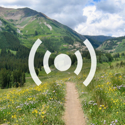 Singletracks Mountain Bike News