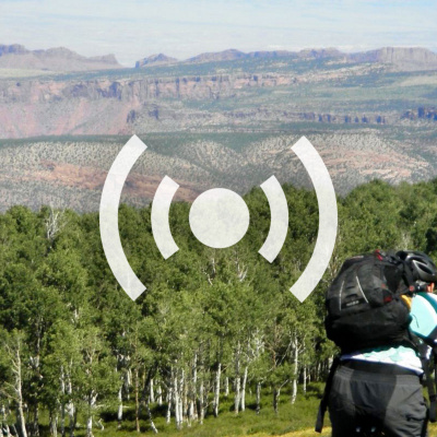 Singletracks Mountain Bike News