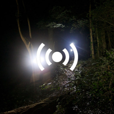 Singletracks Mountain Bike News