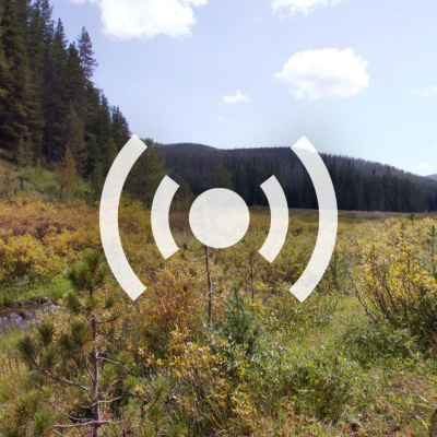 Singletracks Mountain Bike News