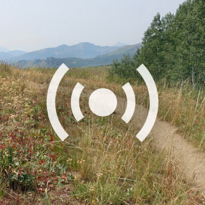 Singletracks Mountain Bike News