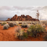 Singletrack Session #144