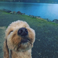 Singletrack Session #134