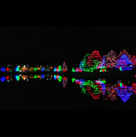 Singletrack Session #68