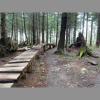 Episode #306: Singletrack Session