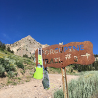 Singletrack Session #7