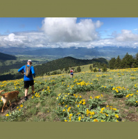 Singletrack Session #91