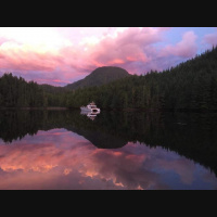 Singletrack Session #99