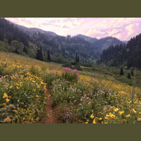 Singletrack Session #99.5